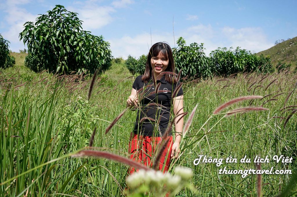 Thuongtravel chụp ảnh với cỏ cây tại Hòn Dồ Nha Trang
