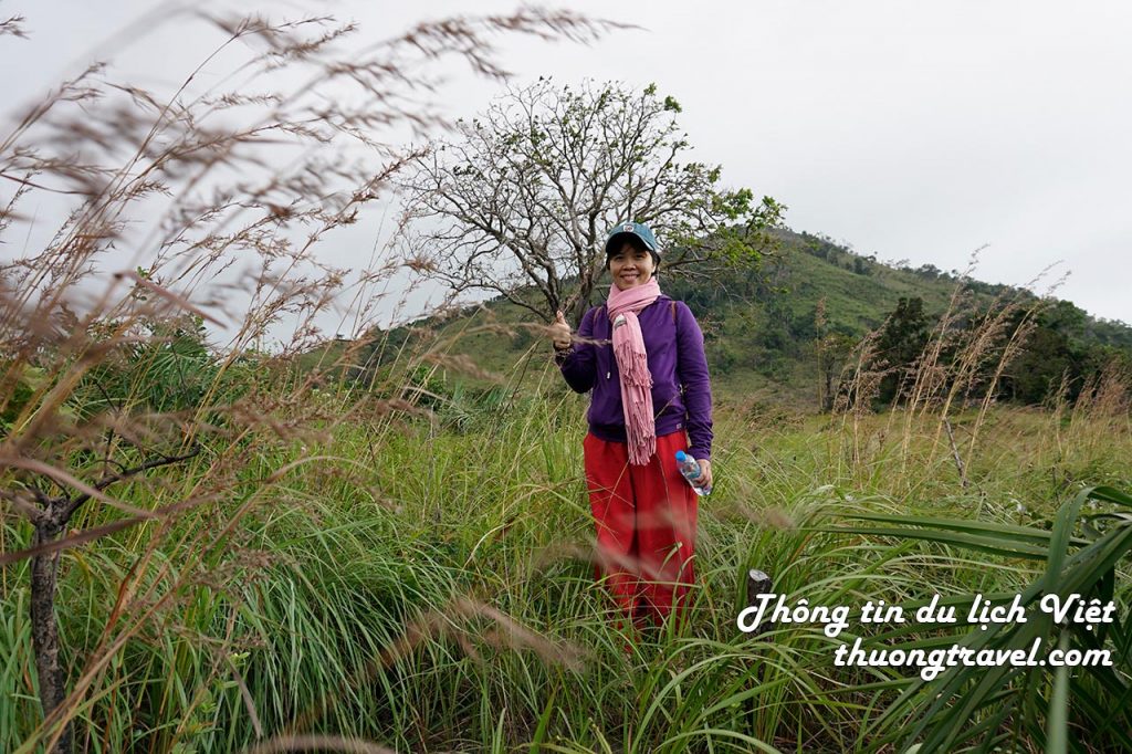 Thuongtravel và cây cô đơn tại Hòn Dồ Nha Trang